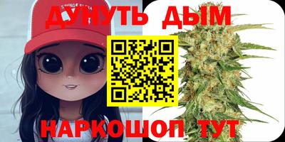 mdpv Славгород