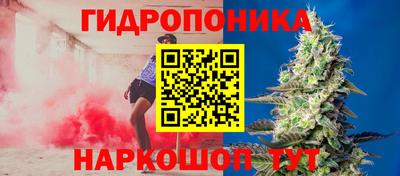 mdpv Славгород