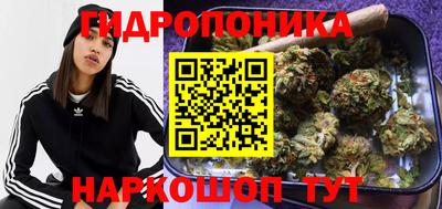 не бодяженный Сланцы