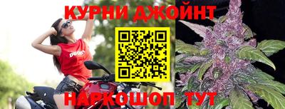 mdpv Славгород