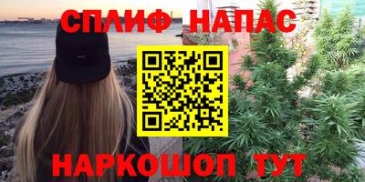 не бодяженный Сланцы