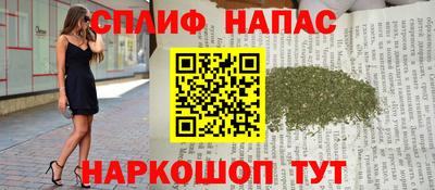mdpv Славгород