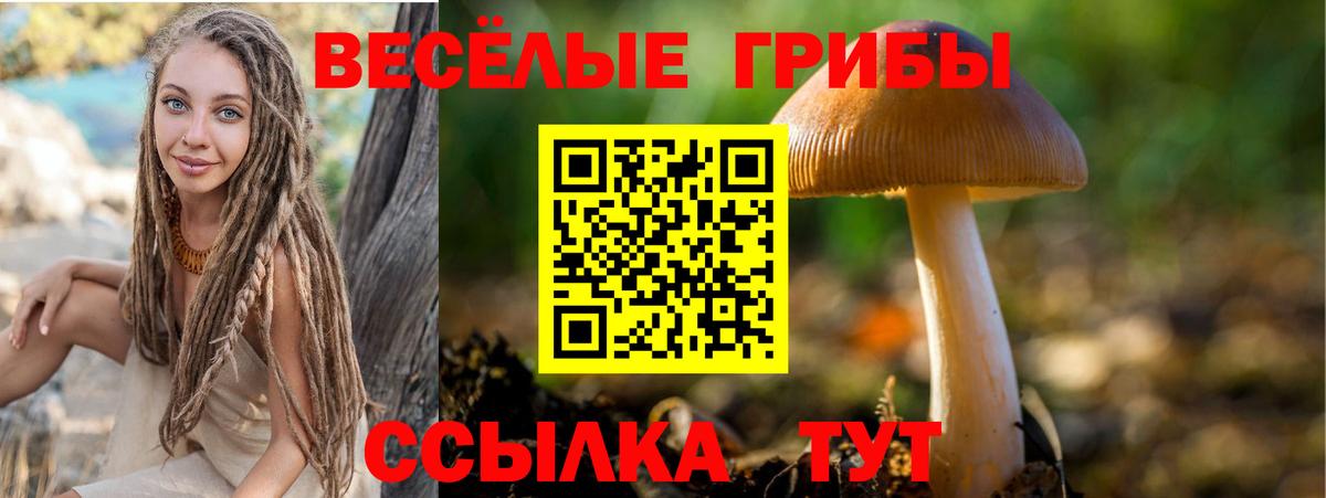 Галлюциногенные грибы Cubensis  Псилоцибиновые грибы прущие грибы  Фролово  Вход с VPN 
